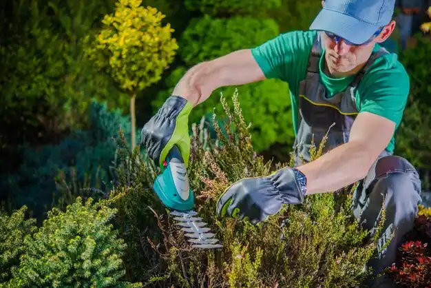 landscaping services Leetonia